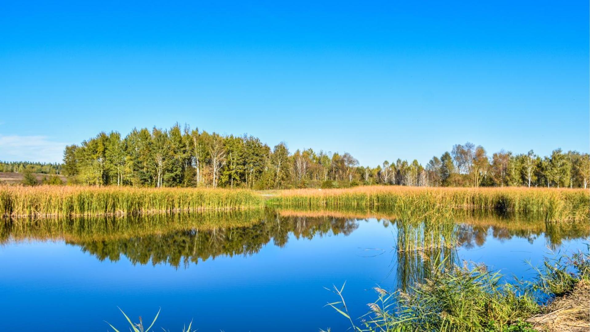Sherwood אתר קמפינג Berezovka (Kiev)