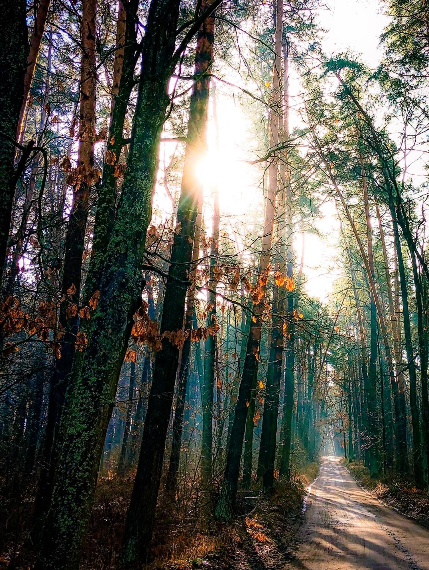 Sherwood אתר קמפינג Berezovka (Kiev)